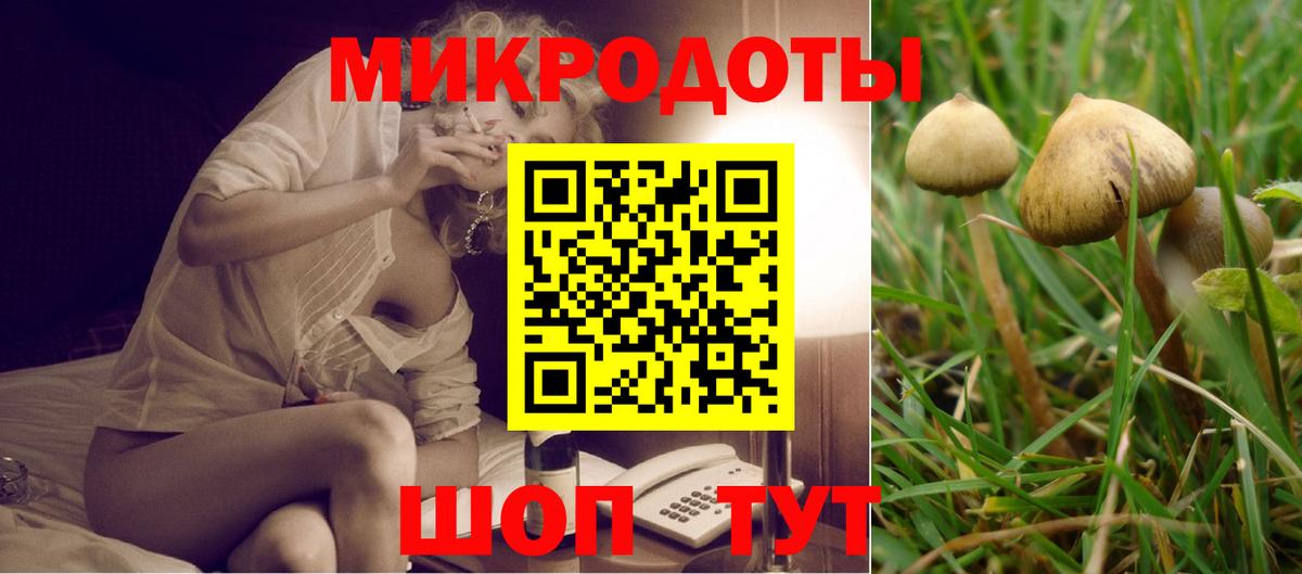 Галлюциногенные грибы прущие грибы Зеленодольск