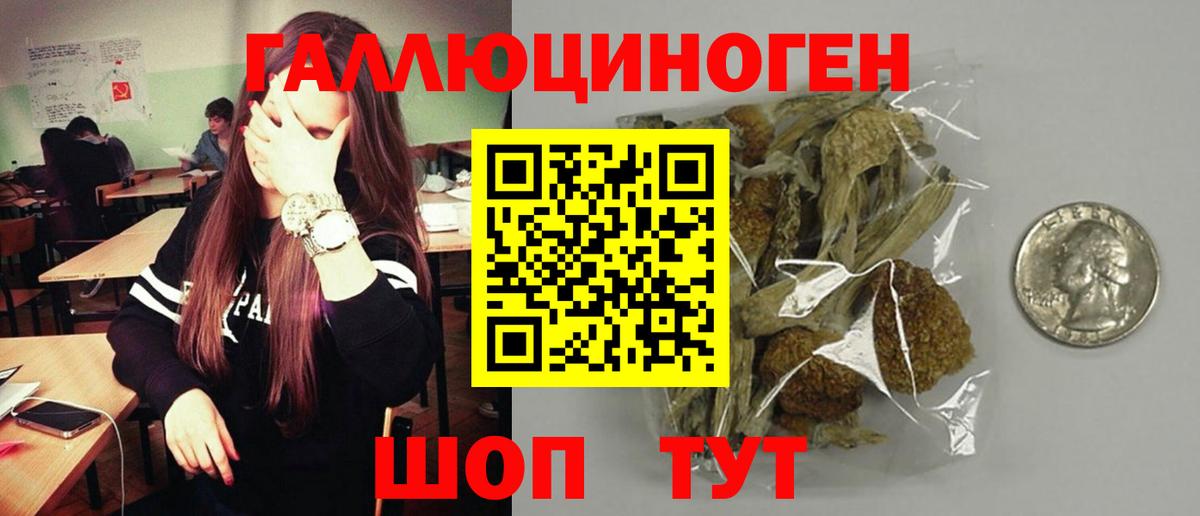 Зеленодольск  Галлюциногенные грибы ЛСД  Вход с VPN 